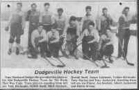 DodgevilleTeam1940_s.jpg (75957 bytes)