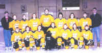 KWings15U2001-02nbs.jpg (101917 bytes)